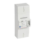 Legrand 401005 Disjoncteur de Branchement Enedis Bipolaire Différentiel, 500mA Sélectif, 90A