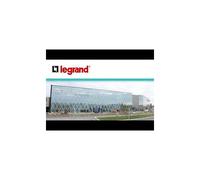 Legrand 411611 Interrupteur différentiel bipolaire DX³-ID protection tête de groupe - arrivée haut/départ haut - AC, 2, Vis/vis, 40