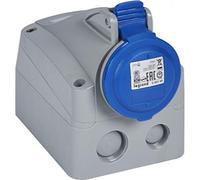 Legrand 555254 Bases et chevilles, Bleu