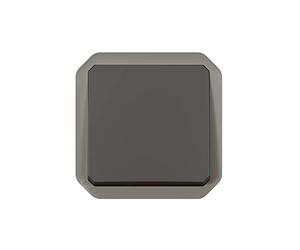 LEGRAND Bouton-poussoir NO, Plexo, anthracite, IP55, IK08, 10A 250V | Anthracite, IP55 étanche, IK08 antichoc, 10A 250V, poussoir simple NO lumineux, connexion rapide, intérieur/extérieur