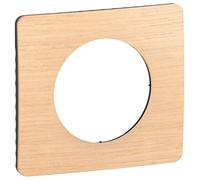 Legrand CP1421 Plaque de commutation et obturateur