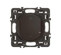 Legrand CZ0060 commutateur électrique Noir