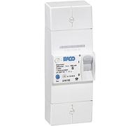 Disjoncteur de branchement BACO bipolaire différentiel 500mA instantané 60A non réglable - - 401051