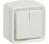 LEGRAND Plexo double va-et-vient 10A blanc saillie