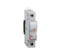 Legrand Coupe-circuit 005810 pour cartouche cylindrique domestique, 20A, 1P, gris