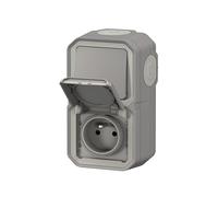 LEGRAND - Prise Etanche et Interrupteur Va-et-vient IP55 Plexo - Prise 2P+T 16A/250V avec Volet + Interrupteur Mural 10A - Pour Pose Verticale en Apparent - Fabriqué En France - Gris