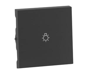 LEGRAND, SEANO Bascule avec symbole de lumière pour interrupteur va-et-vient, bouton poussoir et interrupteur, cache interrupteur, plaque à bascule, couleur : aluminium laqué, 765413