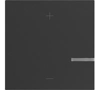 Legrand SEANO bascule pour variateur à bouton-poussoir, version 2 fils, y compris fenêtre d'éclairage pour LED d'état, anthracite, 765441