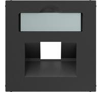 Legrand SEANO cache 1x RJ45 pour prises de données de Metz, Telegärtner et Rutenbeck, avec champ d'inscription, anthracite, 765458