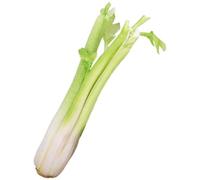 Légumes artificiels pour panier présentoir photographie accessoires décorations de fêtes