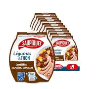 LEGUMES & THON MSC - LENTILLES 160GX9