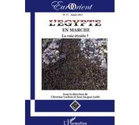 L'Egypte en marche Christian Lochon (Auteur), Jean-Jacques Luthi (Auteur)