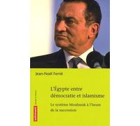 L'egypte Entre Démocratie Et Islamisme - Le Système Moubarak À L'heure De La Succession