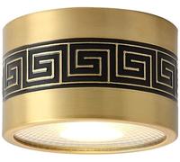 LEGZIT Projecteur LED en Laiton à intensité Variable avec Motif Chinois monté en Surface Bull's Eye Lights 5W,7W,9W,12W,15W,18W Retrofit Downlight pour Lampe de Foyer intérieur,3000K-6000K