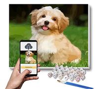 Lehaha Personnalisée Peinture par Numéros pour Adultes et Enfants Kits，DIY Peinture à l'huile Photo de Professionnelle pour Animaux et Portraits, Faites Votre Propre Photo,30 x 40cm (Avec Cadre)