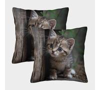 LeHuaiMa Mignon Chaton Housse De Coussin Ensemble De 2 Le Chat Animaux de Compagnie pour Chambre, Canapé, Chaise, Lit,Jardin Super Douce Taies d'oreiller pour Chambre À Coucher 45x45cm