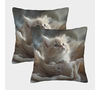 LeHuaiMa Mignon Chaton Housse De Coussin Ensemble De 2 Le Chat Animaux de Compagnie pour Chambre, Canapé, Chaise, Lit,Jardin Super Douce Housses De Coussin pour Canapé-lit 45x45cm