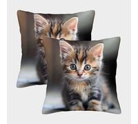 LeHuaiMa Mignon Chaton Housse De Coussin Ensemble De 2 Le Chat Animaux de Compagnie pour Chambre, Canapé, Chaise, Lit,Jardin Confort Et Douceur Garantis Housses De Coussin Carrées 40x40cm