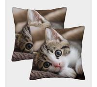 LeHuaiMa Mignon Chaton Housse De Coussin Ensemble De 2 Le Chat Animaux de Compagnie Taie d'oreiller Décoratif Canapé Confort Et Douceur Garantis Housse De Coussin pour Canapé 40x40cm