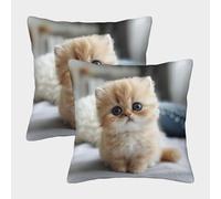LeHuaiMa Mignon Chaton Housse De Coussin Ensemble De 2 Le Chat Animaux de Compagnie Taie d'oreiller Décoratif Canapé Confort Et Douceur Garantis Housse De Coussin pour Canapé 40x40cm