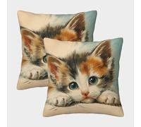 LeHuaiMa Mignon Chaton Housse De Coussin Ensemble De 2 Taie d'oreiller Décoratif Canapé Confort Et Douceur Garantis Housse De Coussin pour Lit 40x40cm