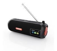 LEICKE Tube Radio Dab+ - Haut-Parleur Bluetooth Portable avec Batterie Dab+/FM, Batterie 4500 mAh, lumières LED RVB, Son stéréo 10 W, égaliseur, Charge USB-C, Port Micro SD/AUX, Alimentation Secteur