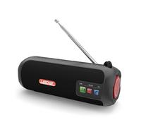 LEICKE Tube Radio Dab+ - Haut-Parleur Bluetooth Portable avec Batterie Dab+/FM, Batterie 4500 mAh, lumières LED RVB, Son stéréo 10 W, égaliseur, Charge USB-C, Port Micro SD/AUX, Alimentation Secteur