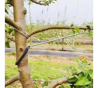 LEILINLIFE Éclisse de branche d'arbre fruitier 20PCS Éclisse de branche polyvalente et durable pour l'extension des branches de support d'arbre (25,4 cm)