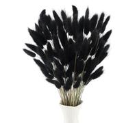 LEIMEND Décoration à L’Herbe De La Pampa 120 Pièces Herbe De La Pampa | L’herbe De La Pampa Est Idéale Pour Les Vases DIY Les Décorations De Table Halloween et Les Loisirs Créatifs (Noire) 40 CM