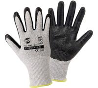 Leipold Doehle CUTEXX-5-N 1143-8 Gants de protection contre les coupures Taille: 8 CAT II 1 paire(s)