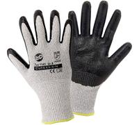 Leipold Doehle Cutexx-5-n 1143-9 Gants De Protection Contre Les Coupures Taille: 9 Cat Ii 1 Paire(s)