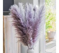 Leisure Life® | 8X Herbe de la Pampa Grande 113cm | Palette de Couleurs Lilas Naturelles | Fleurs séchées XXL | Fleurs Super duveteuses | Guide de décoration Inclus