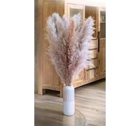 LEISURE LIFE Lot de 10 grandes herbes de la pampa de 118 cm rose violet Fleurs séchées XXL qui attirent tous les regards dans votre appartement Fleurs super moelleuses Avec guide de décoration