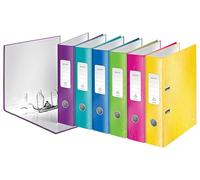 Leitz 10051099 Classeur à levier Assorti Métallisé