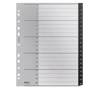 Leitz 12110000 Intercalaire De Classement Onglet Avec Index Numérique Polypropylène (Pp) Noir Et Blanc