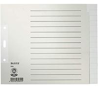 Leitz 1224-00-85 1224 Register - Tauenpapier, blanko, A4 Überbreite, 20 cm hoch, 15 Blatt, grau