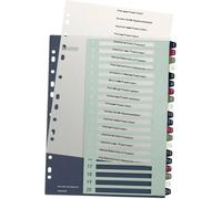 Leitz 1239 Style Répertoire DIN A4 1-20 polypropylène multicolore 20 onglets extra-large, imprimable 1239-00-00
