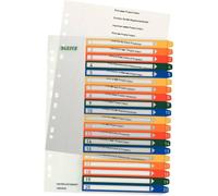 Leitz 1296 Répertoire DIN A4 1-20 polypropylène multicolore 20 onglets extra-large, imprimable 12960000