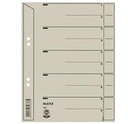 Leitz 1654-00-85 1654 Intercalaires - perforation à trous, extra-large, A4, gris, 100 pièces