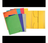 Leitz 39240099 Fichier Carton A4 Multicolore 242x318mm 70g Certification Blue Angel