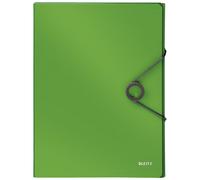 Leitz 45681050 Fichier Polypropylène (Pp) Vert A4