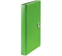 Leitz 46240055 boîte à archive 250 feuilles Vert Polypropylène (PP) Vert G