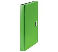 Leitz 46240055 Fichier Polypropylène (Pp) Vert A4