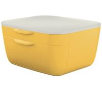 Leitz 53570019 Plateau De Bureau/Organisateur Polystyrène (Ps) Blanc, Jaune