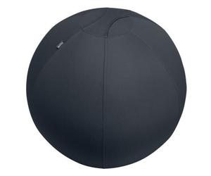 Leitz Active Sitzball 65cm Ballon D'exercice Gris Pleine Taille