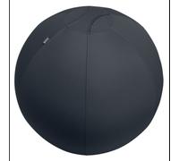 Leitz Active Sitzball 65cm Gris - Ballon d'Exercice Pleine Taille Ø650mm, Poids Max 150kg, avec Pompe, Certifié TÜV, Fabriqué en Allemagne
