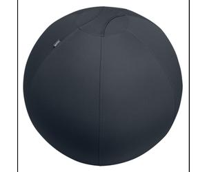 Leitz Active Sitzball 65cm Gris - Ballon d'Exercice Pleine Taille Ø650mm, Poids Max 150kg, avec Pompe, Certifié TÜV, Fabriqué en Allemagne