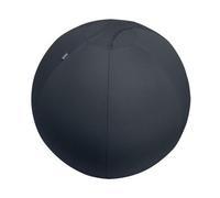 Leitz Active Sitzball 65cm Sitting Ball Gris