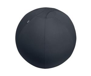 Leitz Active Sitzball 65cm Sitting Ball Gris