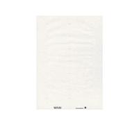 Leitz - Auto-adhésif - 73 x 40 mm 350 étiquette(s) (25 feuille(s) x 14 étiquettes